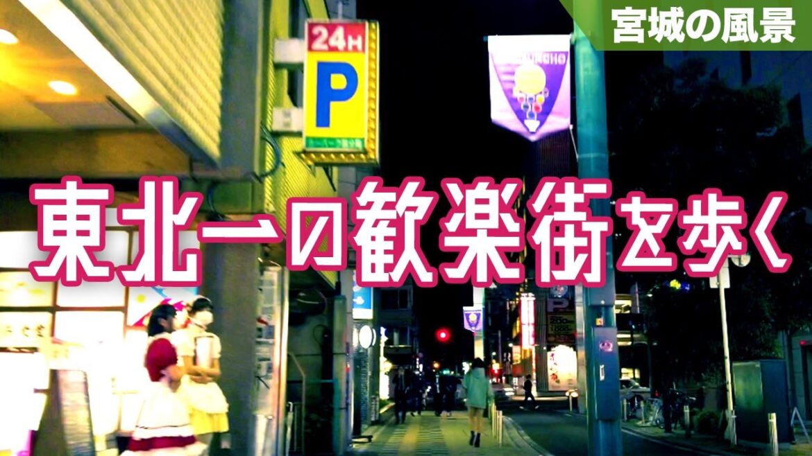 東北一の歓楽街を歩く- 国分町 - Walking in Kokubun-cho - SENDAI Walk(Miyagi, Japan)