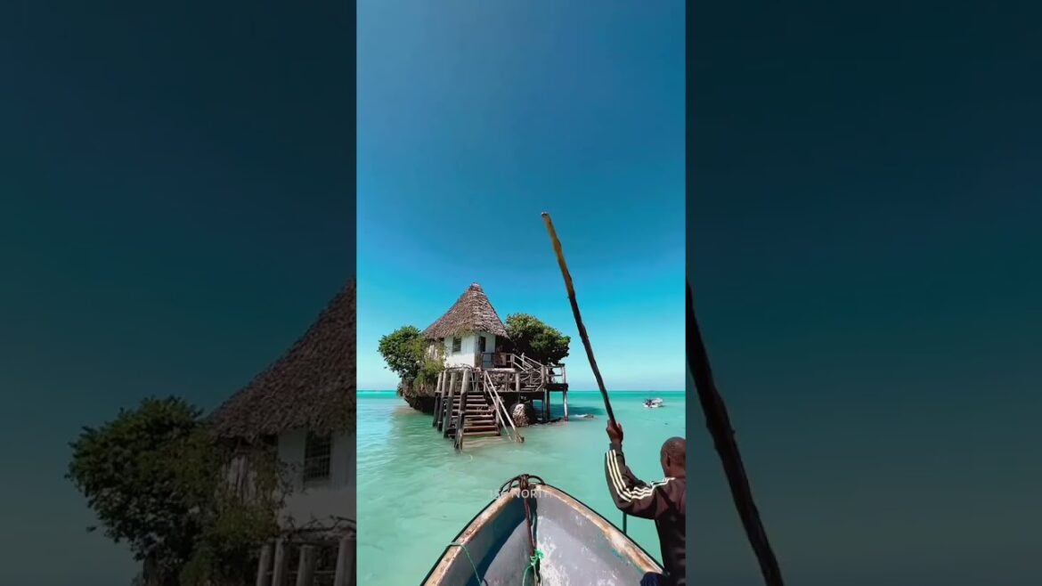 No Neighbors #shorts No Neighbors #shorts