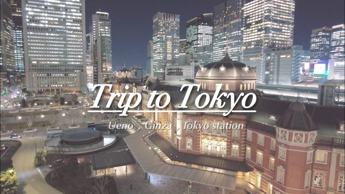[Tokyo trip vlog] 3박4일 도쿄여행 - 우에노(Ueno), 긴자(Ginza), 도쿄역(Tokyo Station) / 도쿄역 야경 꼭 보세요!