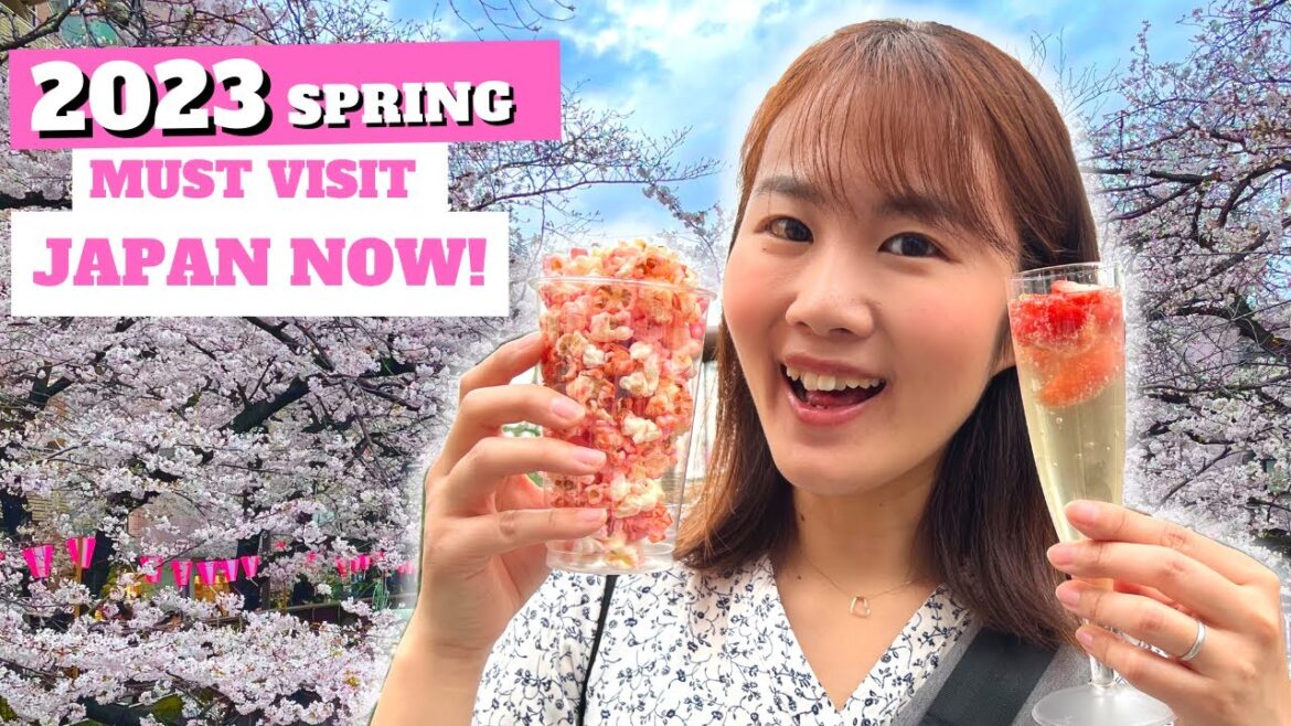 Cherry Blossom and Eating Street food in Japan | 2023 Nakameguro, Tokyo | Sakura Cherry Blossom and Eating Street food in Japan | 2023 Nakameguro, Tokyo | Sakura