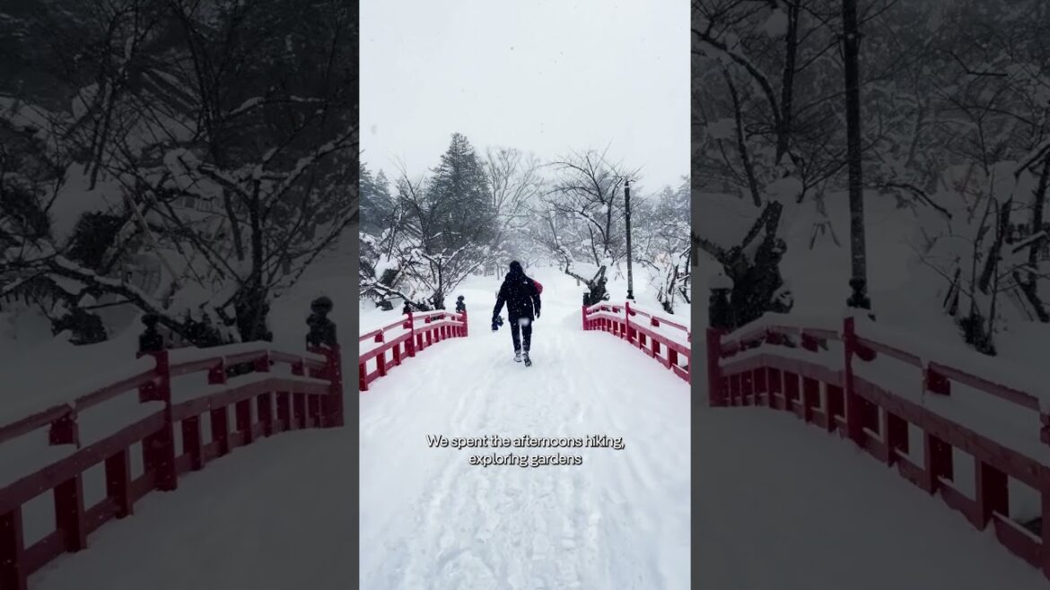 Why JAPANESE WINTERS are MAGICAL. #Japan #LonelyPlanet