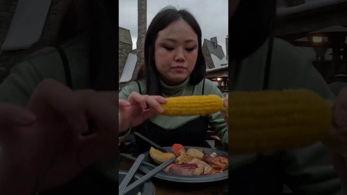 USJ 🎌🏯🍱 ＞USS 🇸🇬🐠🍗