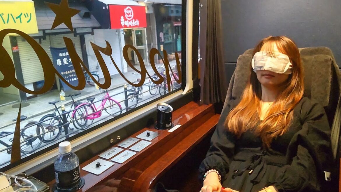 Japan’s $137 Completely Private First Class Bus | Tokyo – Osaka / DREAM Sleeper Japan’s $137 Completely Private First Class Bus | Tokyo - Osaka / DREAM Sleeper