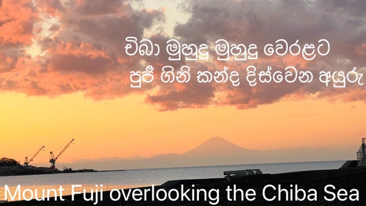 ජපානයේ චිබා මුහුදු මුහුදු වෙරළට පුජී ගිනි කන්ද දිස්වෙන අයුරු Mount Fuji overlooking the Chiba Sea. ජපානයේ චිබා මුහුදු මුහුදු වෙරළට පුජී ගිනි කන්ද දිස්වෙන අයුරු Mount Fuji overlooking the Chiba Sea.