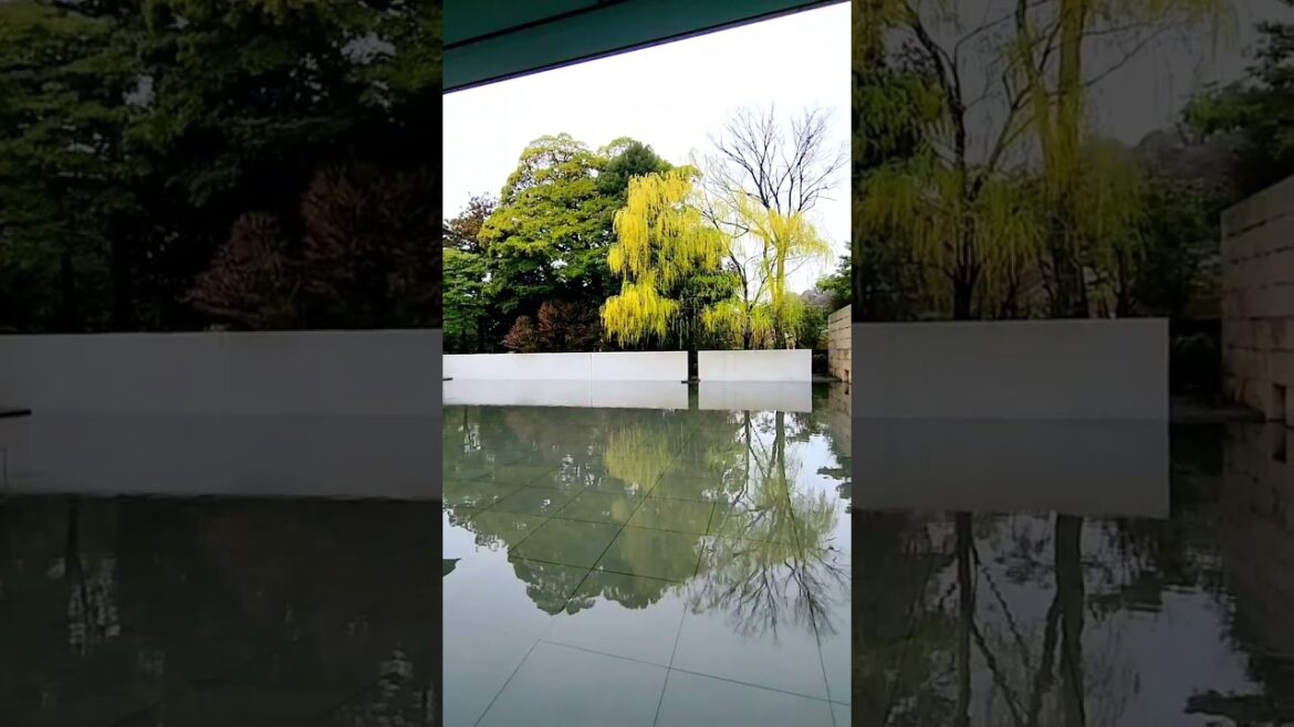 #zen #suzukidaisetsumuseum #kanazawa #taniguchiyoshio #japantrip #museumtour