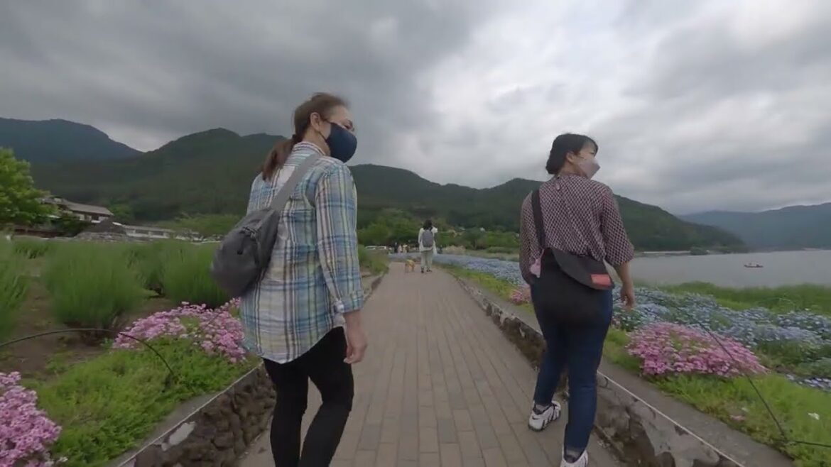 Driving In Japan | Kawaguchiko Drive Near Fuji