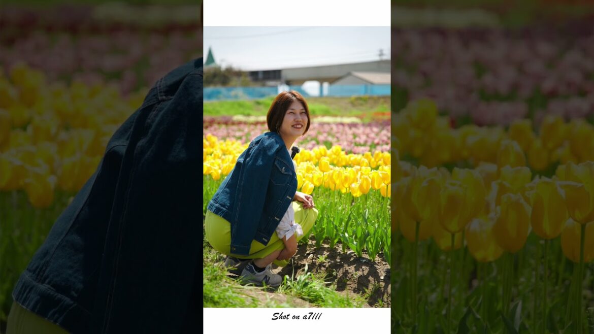 【ストリートスナップ】かがみチューリップ園 #photography #ストリートスナップ #vlog