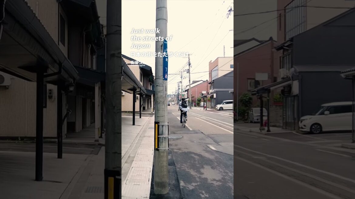 Niigata: Itoigawa Station (糸魚川駅) - Japan Walking Tour #shorts #shortsvideo