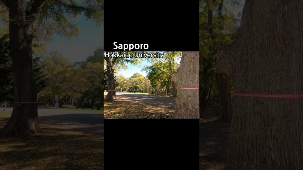 北海道の風景を見ているから急にため息が出ます