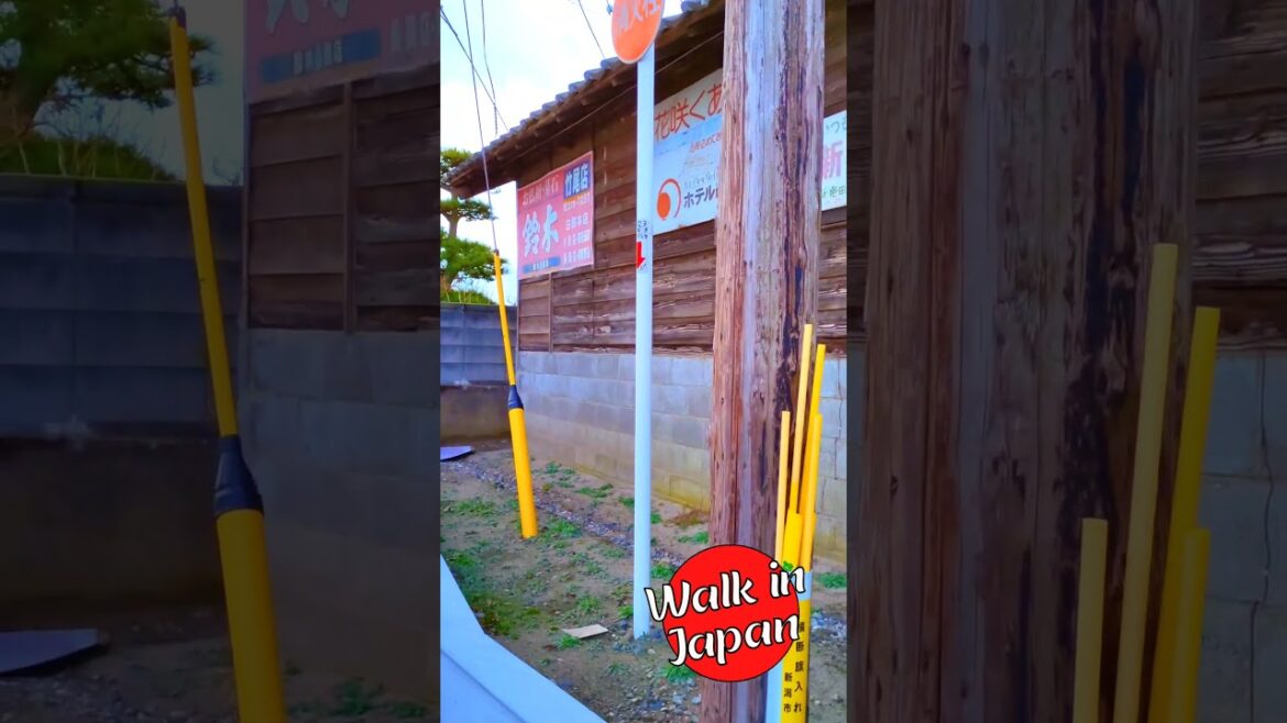 Rusty Retro Japanese Signs on an Old Shack #shorts #japan