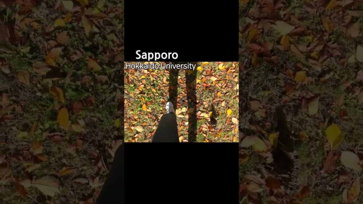 小鳥のさえずりで目が覚めた