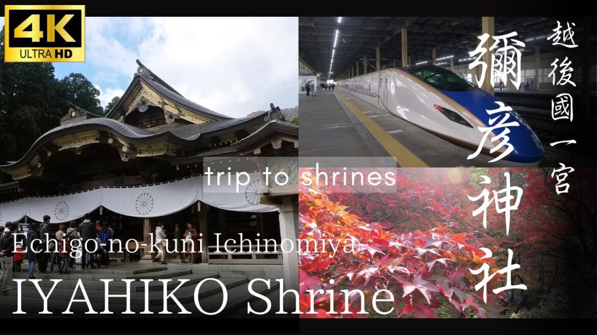 【彌彦神社】＜新潟＞神社周辺と自然を巡る旅 / Trip to Iyahiko Shrine in Niigata