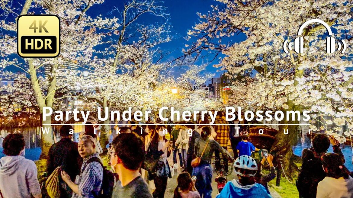 Tokyo : Party Under Cherry Blossoms Walking Tour - Tokyo Japan [4K/HDR/Binaural]