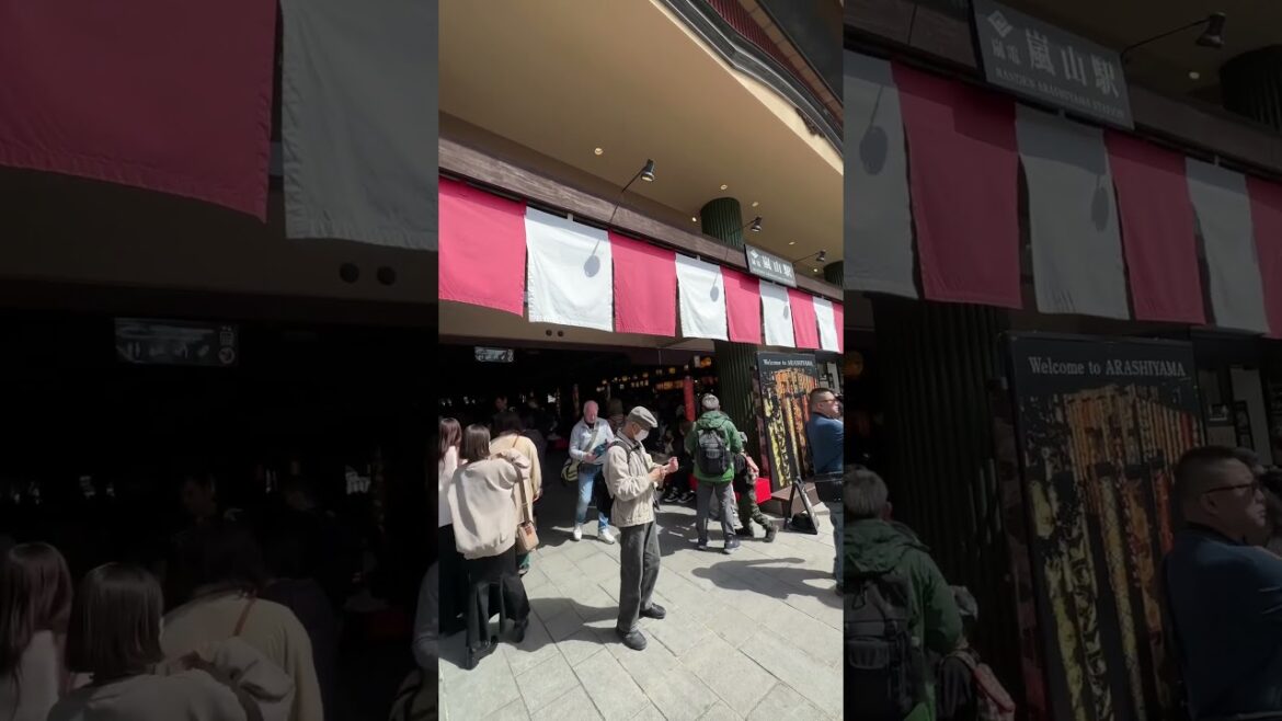 Arashiyama Market in Kyoto,japan. #travel #trending #japan #kyoto #market #busy #explore #thingstodo