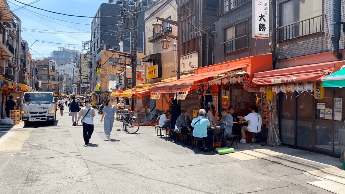【東京観光】浅草寺周辺を歩いてみた。浅草花やしき〜ホッピー通り〜合羽橋〜伝法院通り〜浅草文化観光センターを散策。