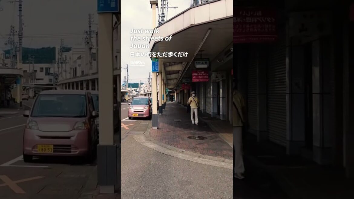 Niigata: Kamo Station (加茂駅) - Japan Walking Tour #shorts #shortsvideo