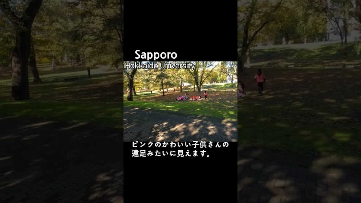 北海道の可愛い子供さんの遠足