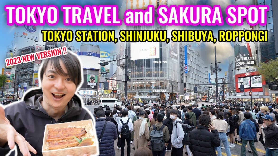 Japan April 2023 Travel Situation Update and Tokyo Major Cities Sakura Spot Ep. 393 Japan April 2023 Travel Situation Update and Tokyo Major Cities Sakura Spot Ep. 393