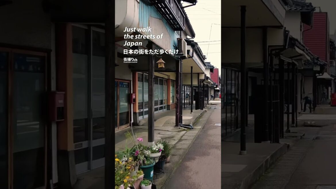 Niigata: Naoetsu Station 直江津駅) - Japan Walking Tour #shorts #shortsvideo