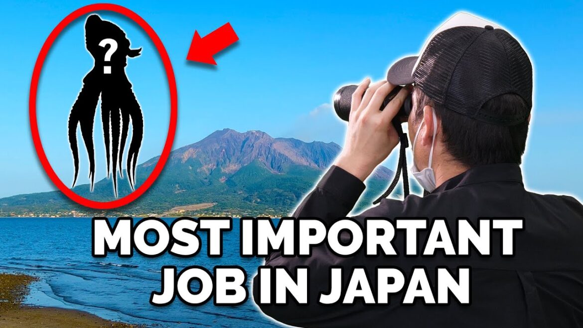 Ministry of Defence Regional Defense Bureau Kaiju Countermeasures Organization Kagoshima Second Unit