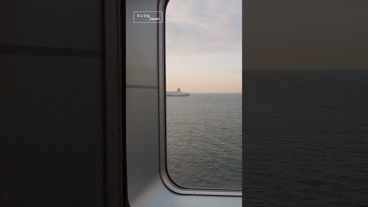 詳しくは説明欄をご覧ください|阪急フェリーで12時間の贅沢な船旅 詳しくは説明欄をご覧ください|阪急フェリーで12時間の贅沢な船旅