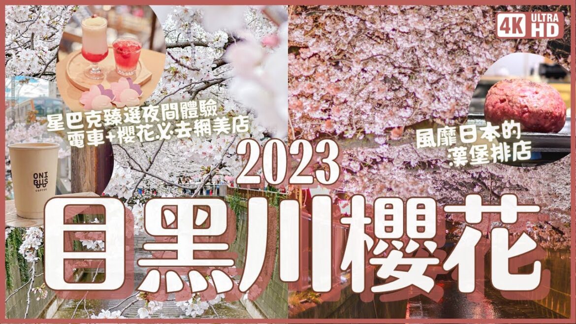 2023目黑川櫻花🌸滿開啦!帶你逛中目黑賞櫻(有夜櫻)!同場加映夜間星巴克臻選 窗外有電車+櫻花的網美咖啡店 東京人氣漢堡排店|東京賞櫻 4K VLOG 2023目黑川櫻花🌸滿開啦!帶你逛中目黑賞櫻(有夜櫻)!同場加映夜間星巴克臻選 窗外有電車+櫻花的網美咖啡店 東京人氣漢堡排店|東京賞櫻 4K VLOG