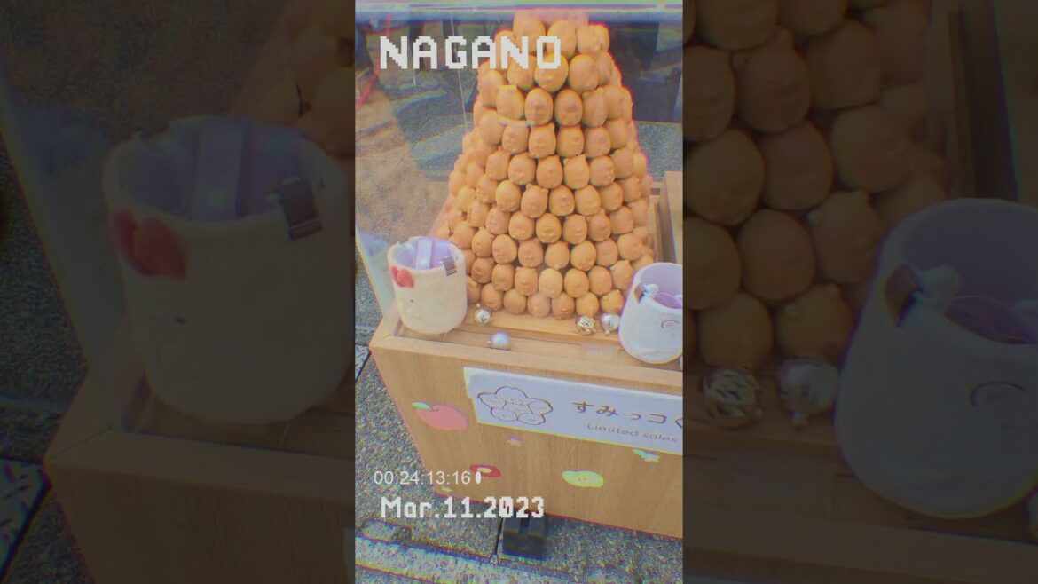 신칸센을 타고 나가노 여행을 가 보았다.#일본여행 #젠코지#shorts