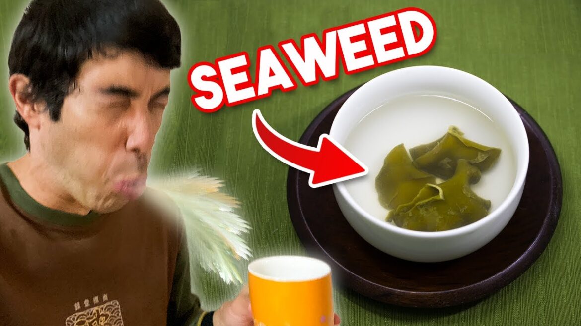 We Tried & Ranked Every HOT Tea In Okinawa Japan We Tried & Ranked Every HOT Tea In Okinawa Japan