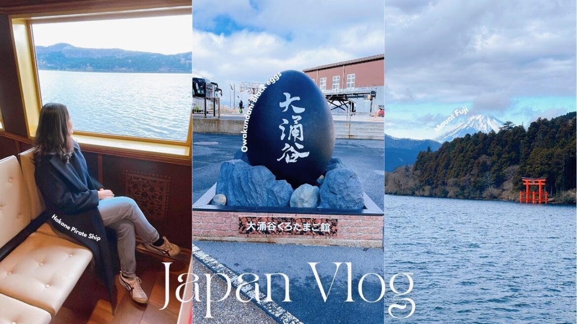 Japan Vlog 🇯🇵 Mt. Fuji & Hakone Day Trip | Owakundani black eggs & Amazake-Chaya | momeli