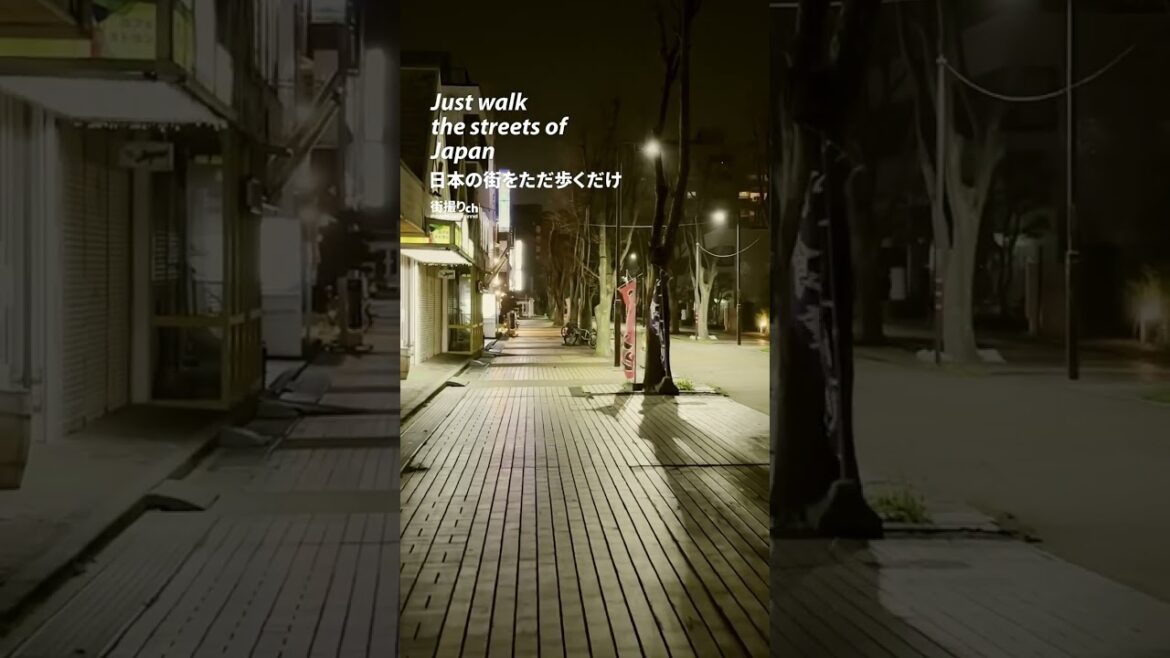 Chiba: Shiroi Station (白井駅) - Japan Walking Tour #shorts #shortsvideo