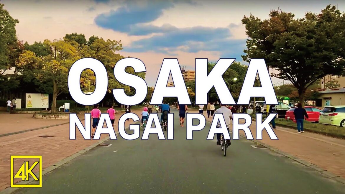 大阪長居公園散歩 Walking in Nagai Park OSAKA JAPAN 4K