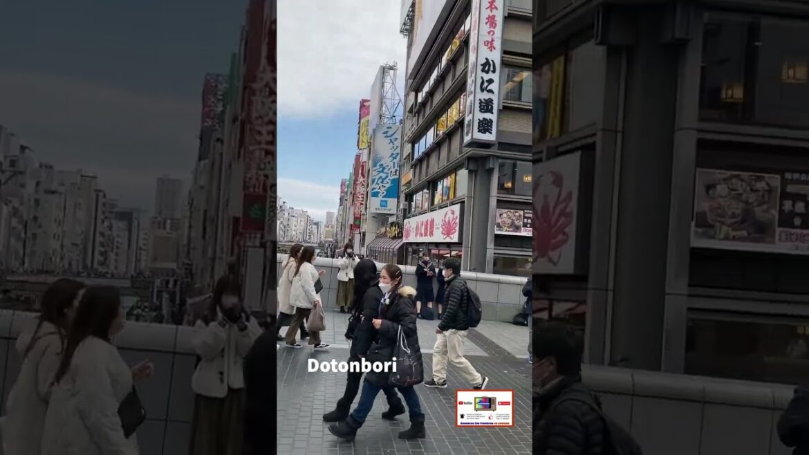 Dotonbori Osaka Japon - Suscríbete al canal de YouTube - https://youtu.be/aA5qD3q-D4Y