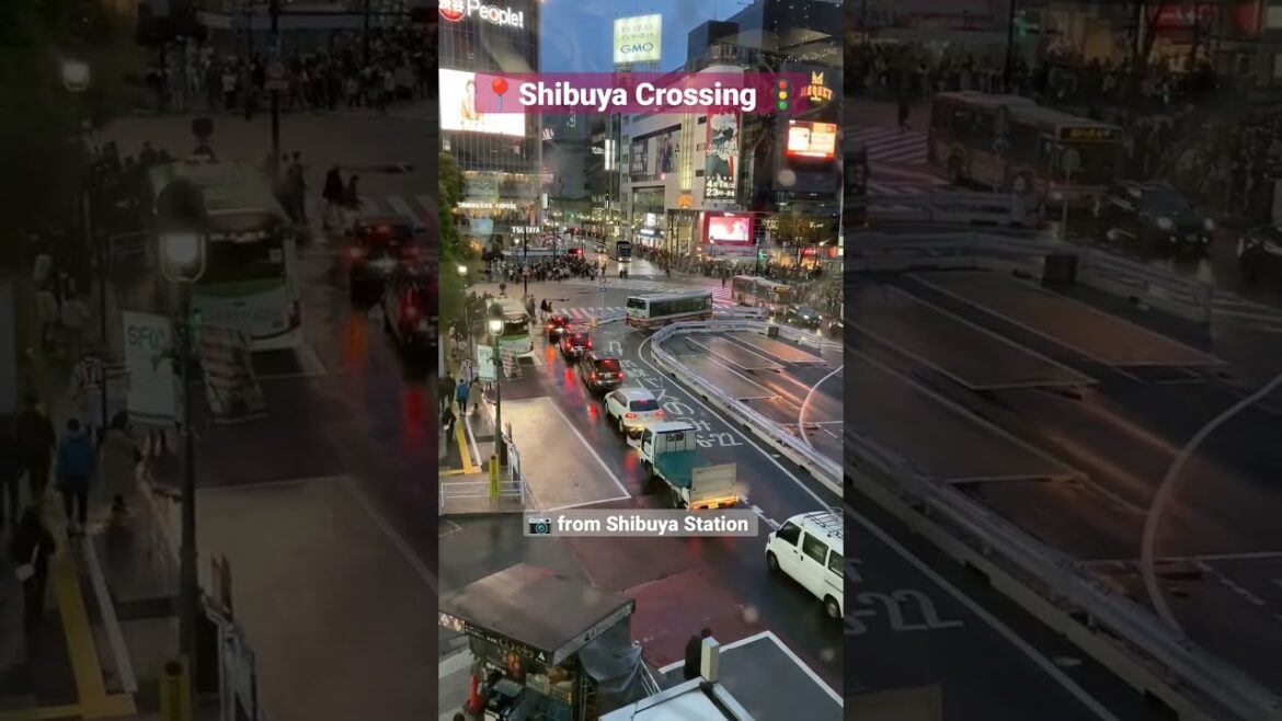 Shibuya Crossing #shibuya #shibuyacrossing #shibuyastation Shibuya Crossing #shibuya #shibuyacrossing #shibuyastation