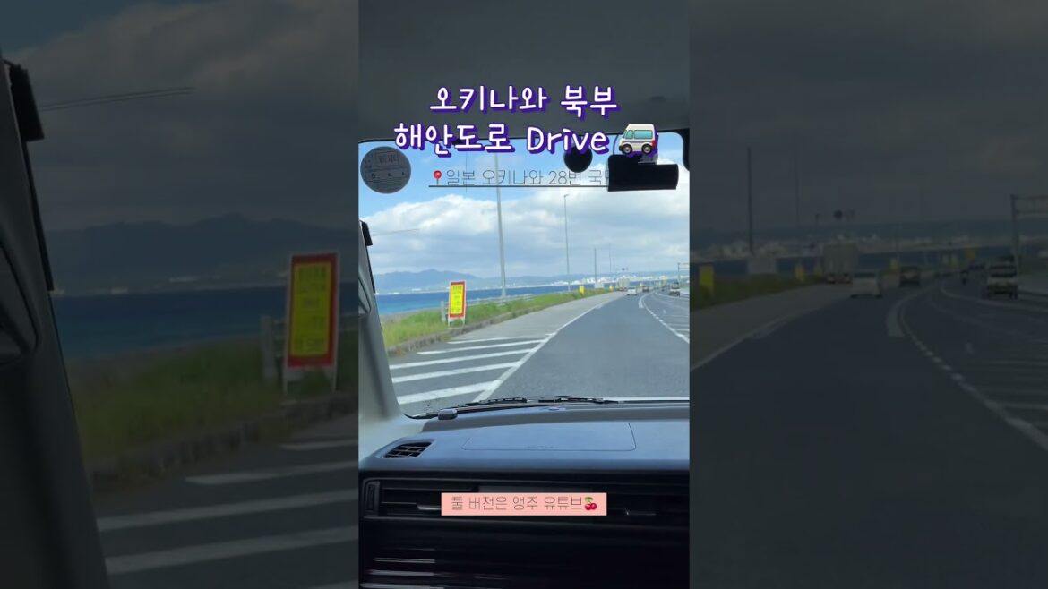 오키나와 북부 28번 해안도로 드라이브 🚐