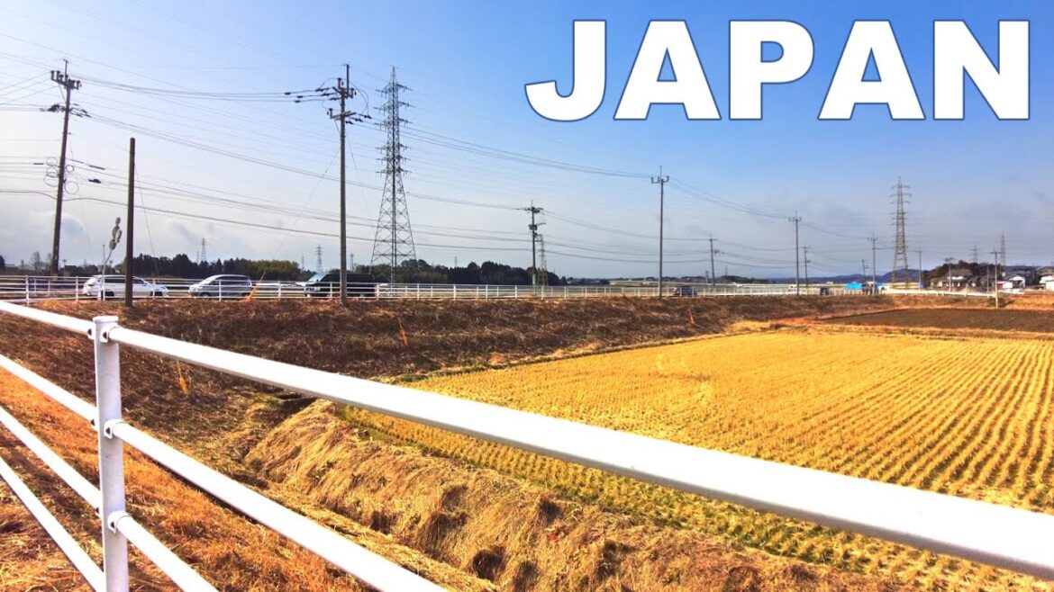 【4K Japan Walk】Japanese Countryside Walking Tour｜Together Walk｜MIYAZAKI｜ASMR｜2023.1.24