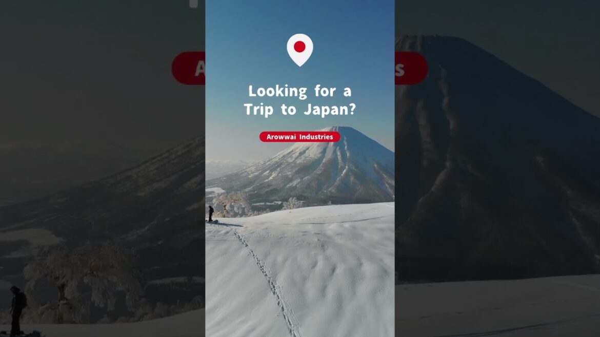 Trip to Japan #shorts #shortvideo Trip to Japan #shorts #shortvideo