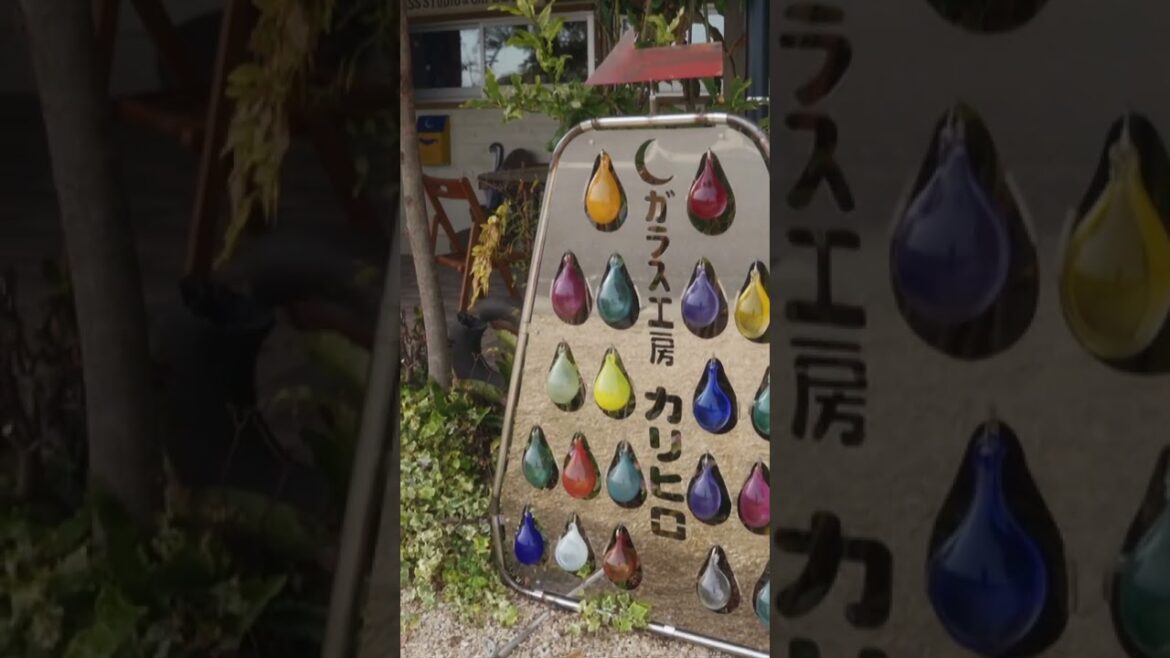 旅って楽しい☺Japan travel KUMAMOTO #shorts