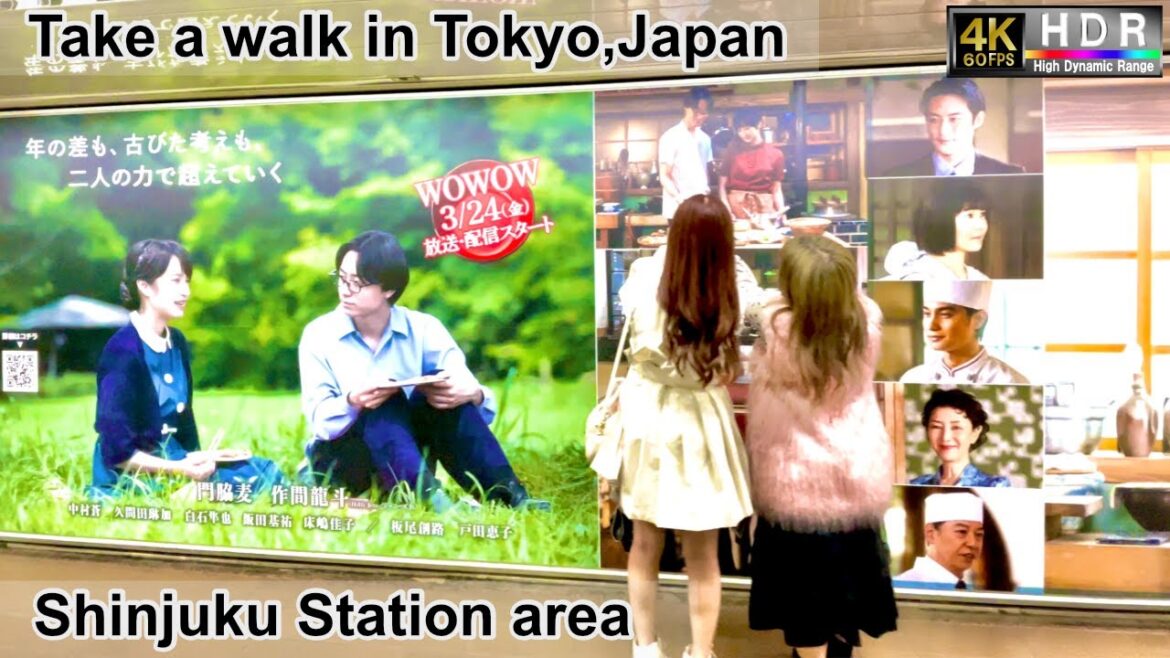 4K 60fps HDR// Take a walk in Tokyo, Japan, SUBNADE→Shinjuku Sta. area→Shinjuku Nishiguchi Sta. area 4K 60fps HDR// Take a walk in Tokyo, Japan, SUBNADE→Shinjuku Sta. area→Shinjuku Nishiguchi Sta. area