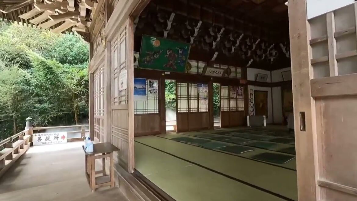 Japan for Beginners  - Hiroshima to Miyajima and cycling on Miyajima