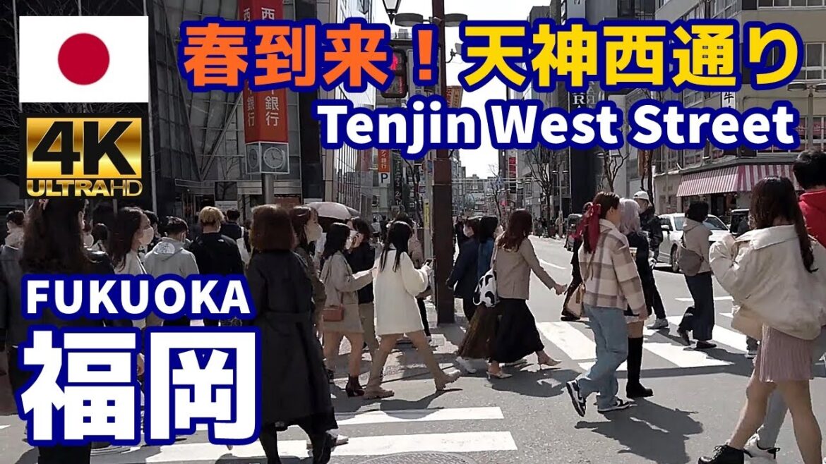 [4K]【福岡博多街歩き】天神西通り（天神西側エリア）春の休日散歩｜九州｜福岡県福岡市中央区｜観光｜旅行