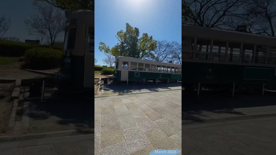 March in Japan 2023 #travel #insidejapan #abroadinjapan