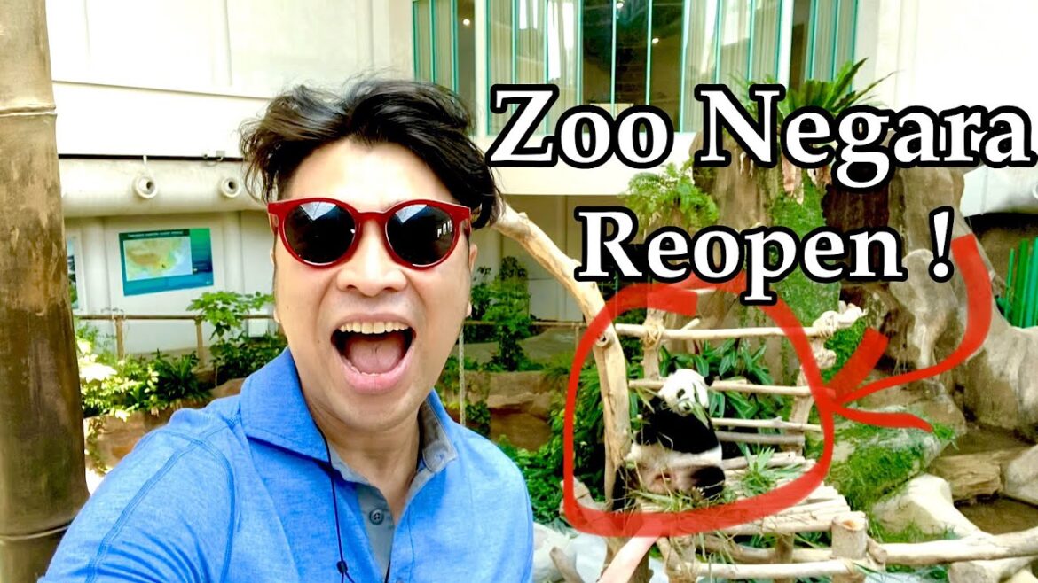 🐼 Zoo Negara Kuala Lumpur Malaysia Reopen 2021 after covid-19 lock down full tour
