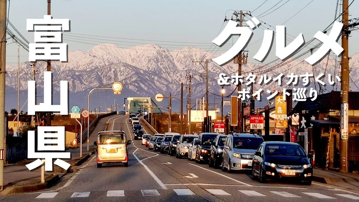 本場の鱒寿し食べたら・・今まで食べてた物はなんだったのかと衝撃を受けた!!|魚づ鱒寿し店|ホタルイカ掬い|ドライブ|田舎暮らし|富山県|4K 本場の鱒寿し食べたら・・今まで食べてた物はなんだったのかと衝撃を受けた!!|魚づ鱒寿し店|ホタルイカ掬い|ドライブ|田舎暮らし|富山県|4K