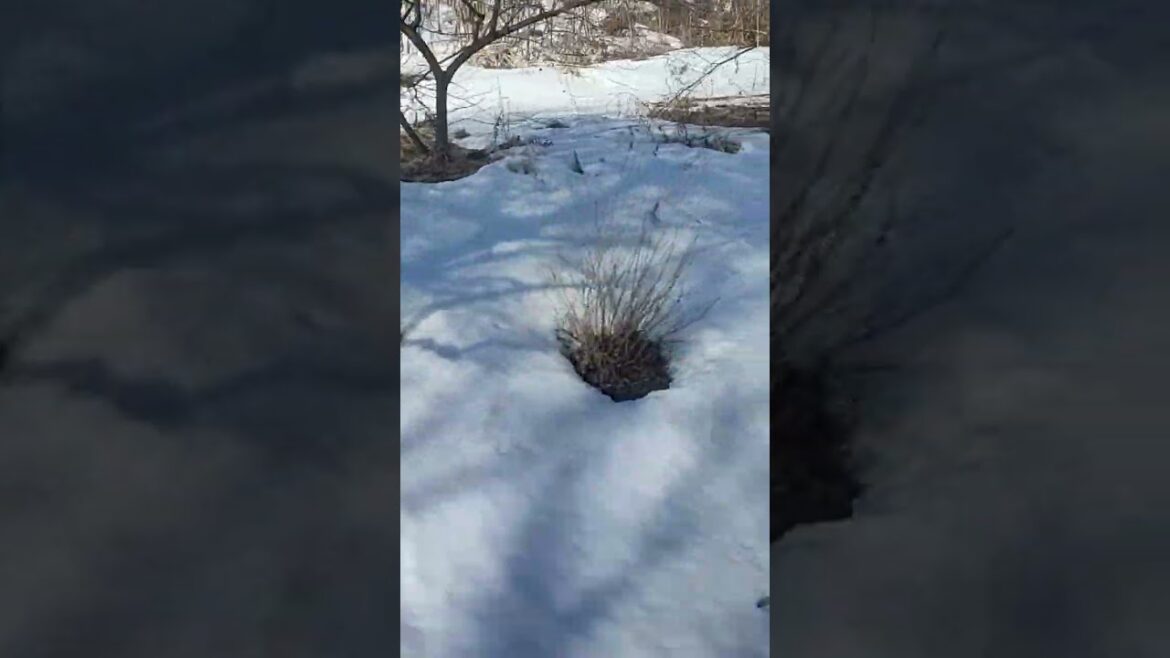 Perbukitan Azumino Jepang