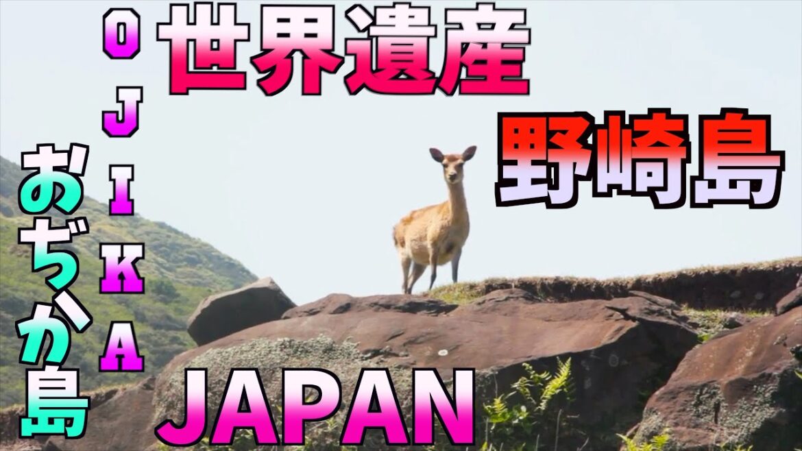 世界遺産 野崎島への島旅 Nozaki island is going to be the one of the world heritages in Japan 2018. 世界遺産 野崎島への島旅 Nozaki island is going to be the one of the world heritages in Japan 2018.