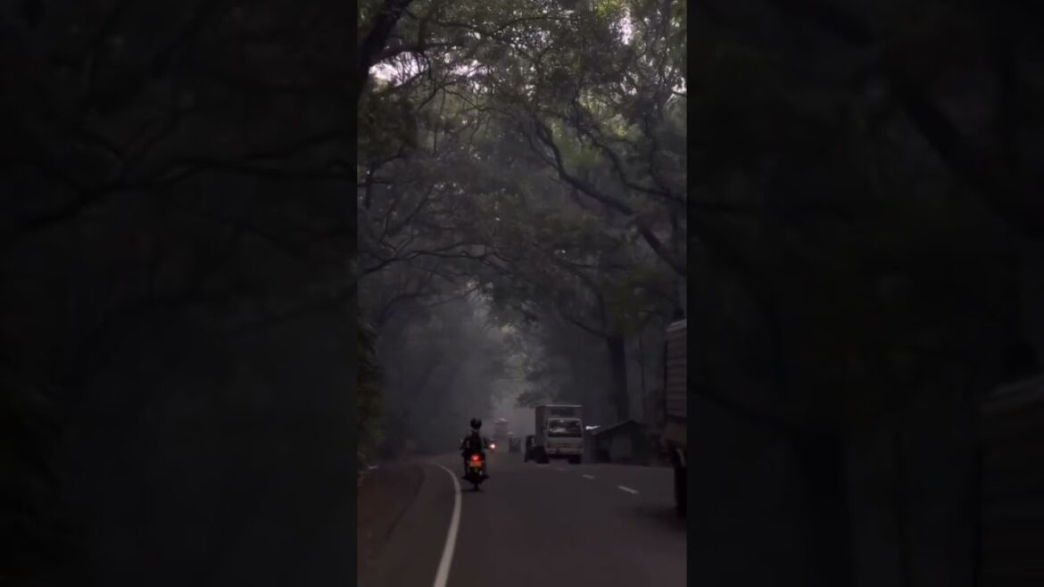 #shorts 👆💕 sri lanka wonderful travel places #youtubeshorts 🌍💚