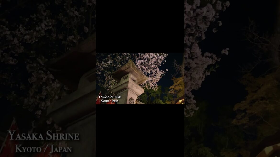 Yasaka Shrine in Kyoto, Japan🏮 #shorts #032