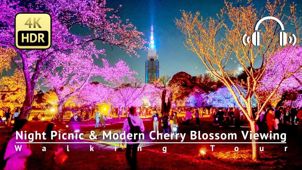 Tokyo’s Night Picnic & the Modern Cherry Blossom Viewing Walking Tour - Japan [4K/HDR/Binaural]