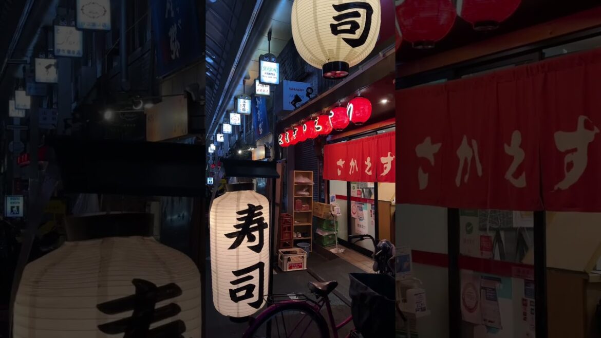 Energetic lights of Japan. #travel #japan #neon #anime #thingstodo #amazing #amazingjapan #2023