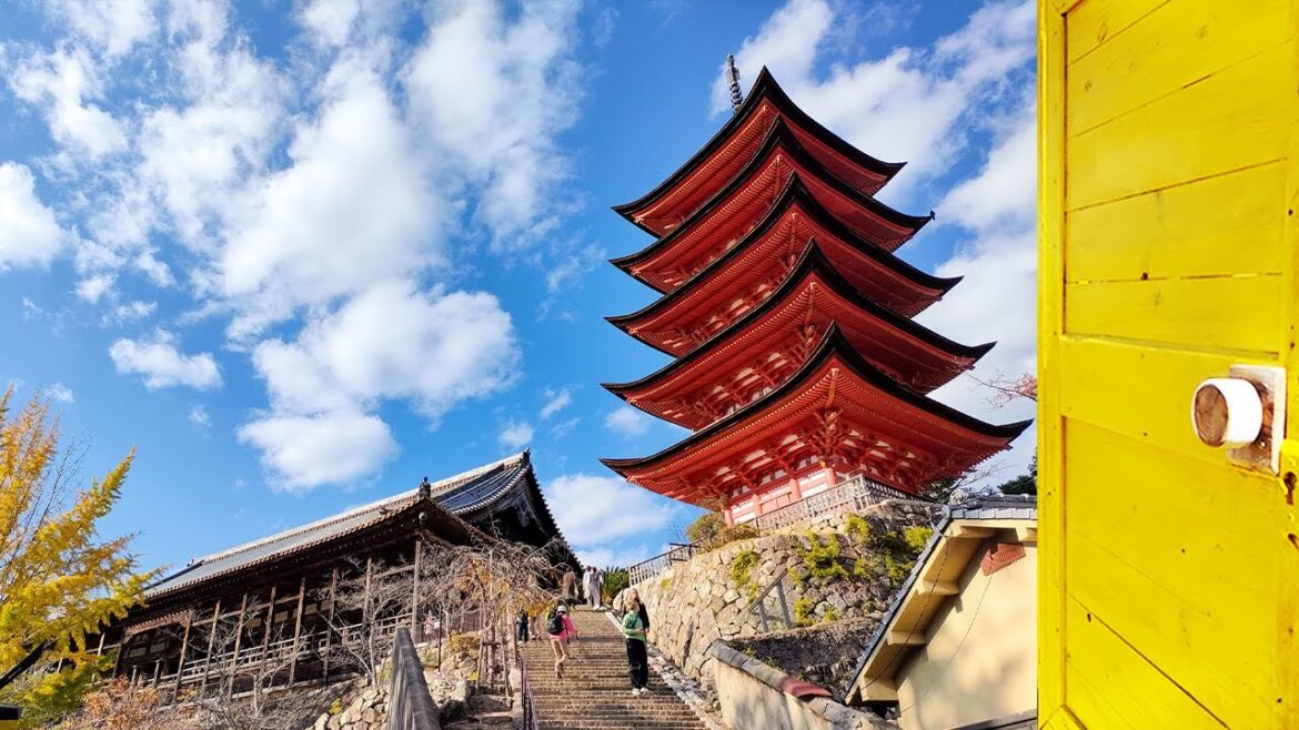 【4K Stroll】Miyajima – Hiroshima – Japan / The Shrine of UNESCO World Heritage 【4K Stroll】Miyajima - Hiroshima - Japan / The Shrine of UNESCO World Heritage